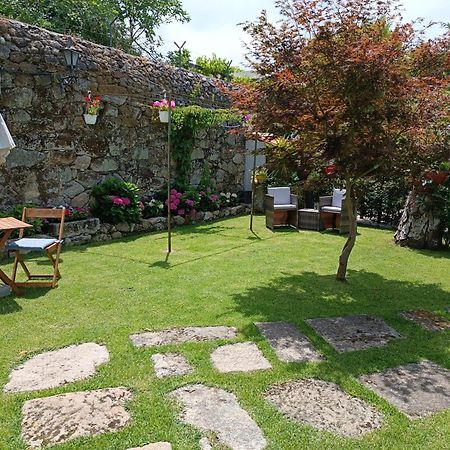 Douro Mool Guest House Lamego Dış mekan fotoğraf